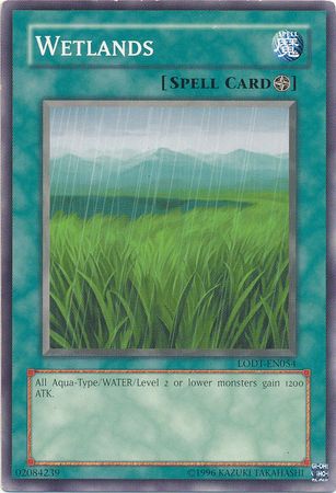 LODT-EN054 - Wetlands