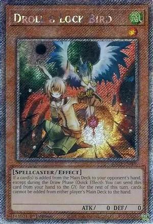 RA02-EN006 - Droll & Lock Bird