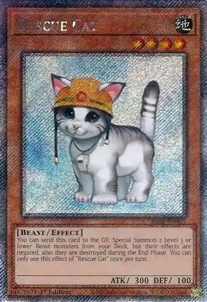 RA02-EN001 - Rescue Cat
