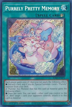 RA02-EN072 - Purrely Pretty Memory