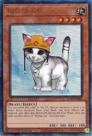 RA02-EN001 - Rescue Cat