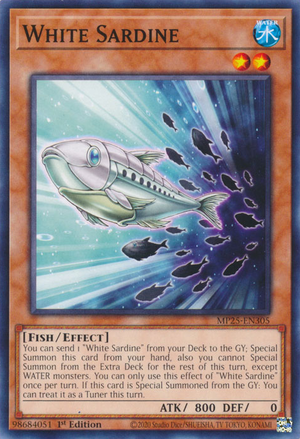 MP25-EN305 - White Sardine