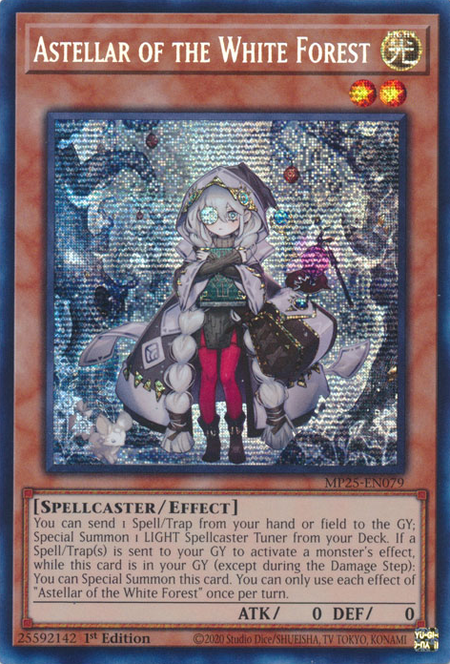 MP25-EN079 - Astellar of the White Forest