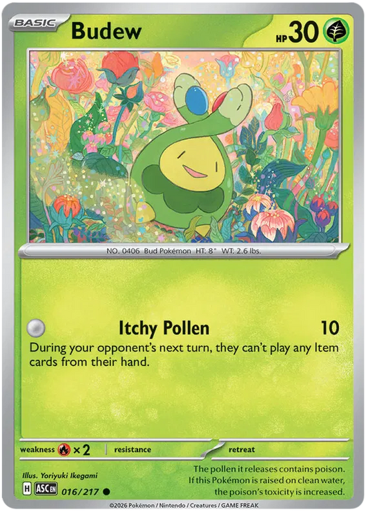 Ascended Heroes - 016/217 - Budew