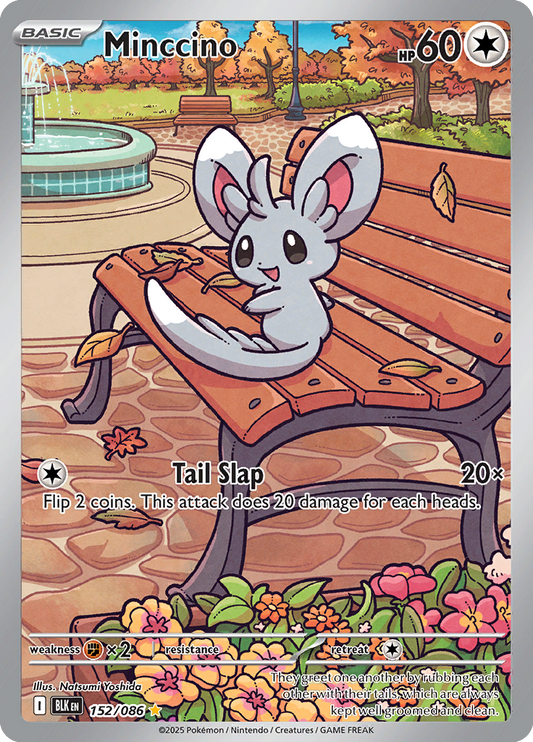Black Bolt - 152/086 - Minccino