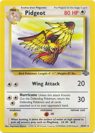 Jungle - 024/064 - Pidgeot