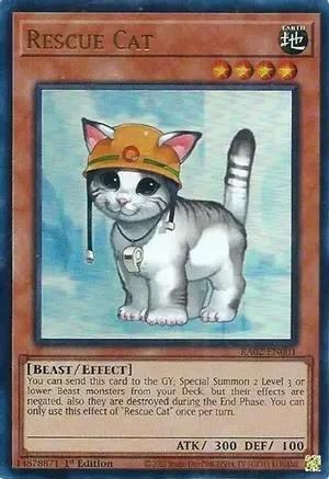 RA02-EN001 - Rescue Cat