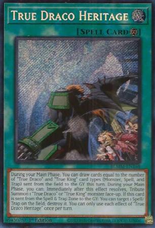 BLMM-EN168 - True Draco Heritage