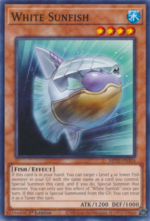 MP25-EN304 - White Sunfish